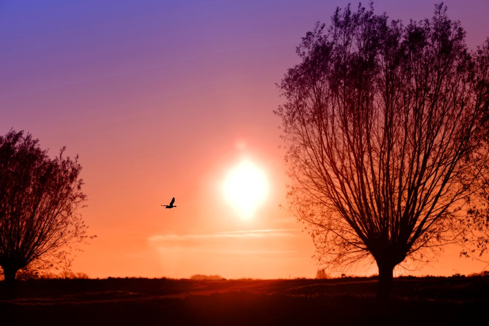 Sunrise morning skies sun