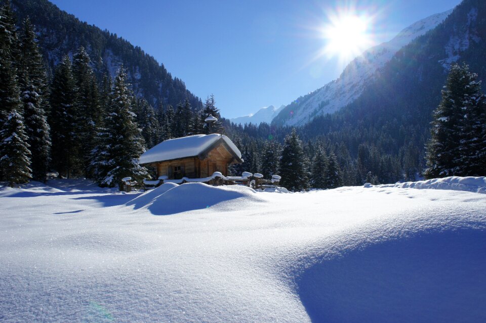 Christmas advent nature