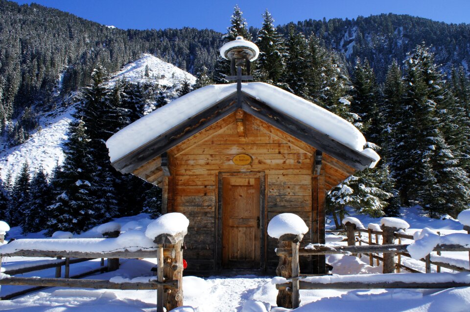 Christmas advent nature