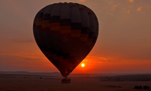 Safari flight adventure