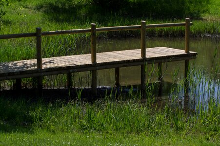Wood fence nature