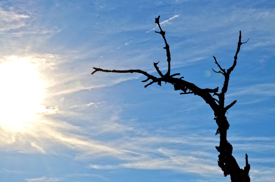 Sky clouds landscape