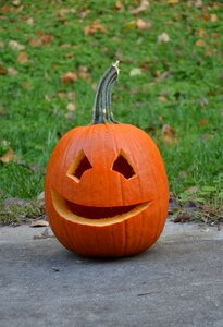 Jack-o-lantern october holiday photo