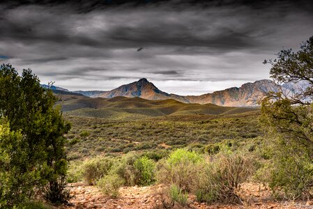 Tree sky national park