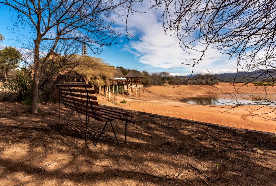 Scenic water hole tree