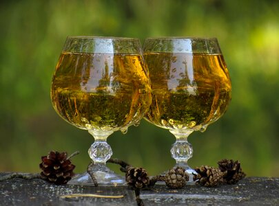 Wine drink holiday