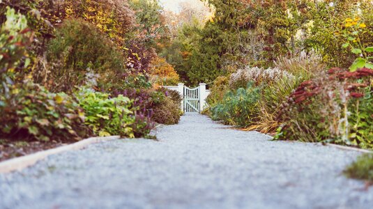Gate grass gravel walkway