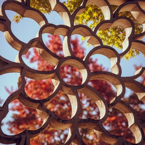 Tree fall architecture