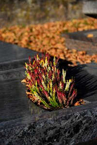 Grabschmuck mourning farewell