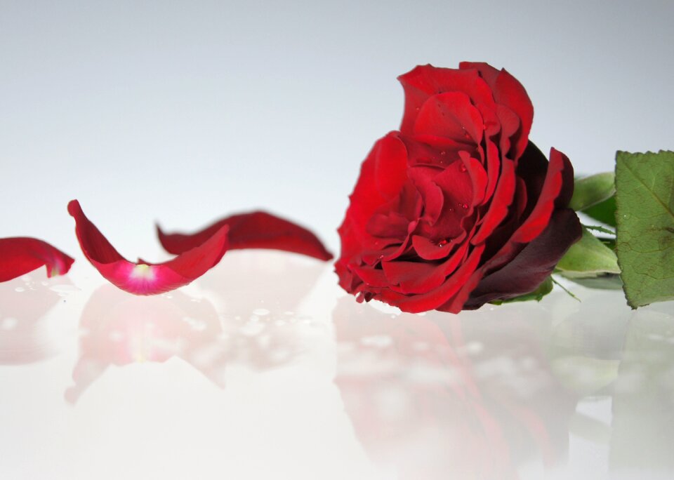 Mourning greeting love