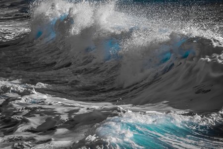 Foam nature spray