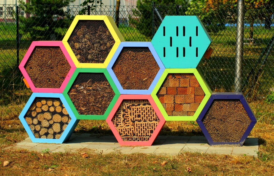 Hibernate bee perforated