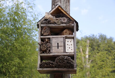 Bee house insect house insect