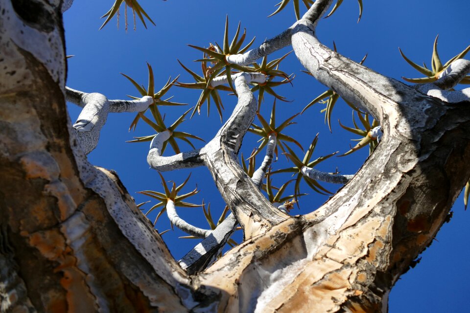 Nature stone desert places of interest