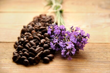 Lavender purple stimulating