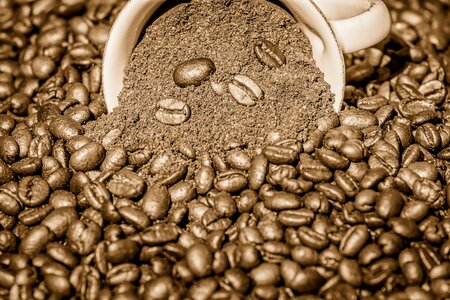 Coffee beans coffee beans photo