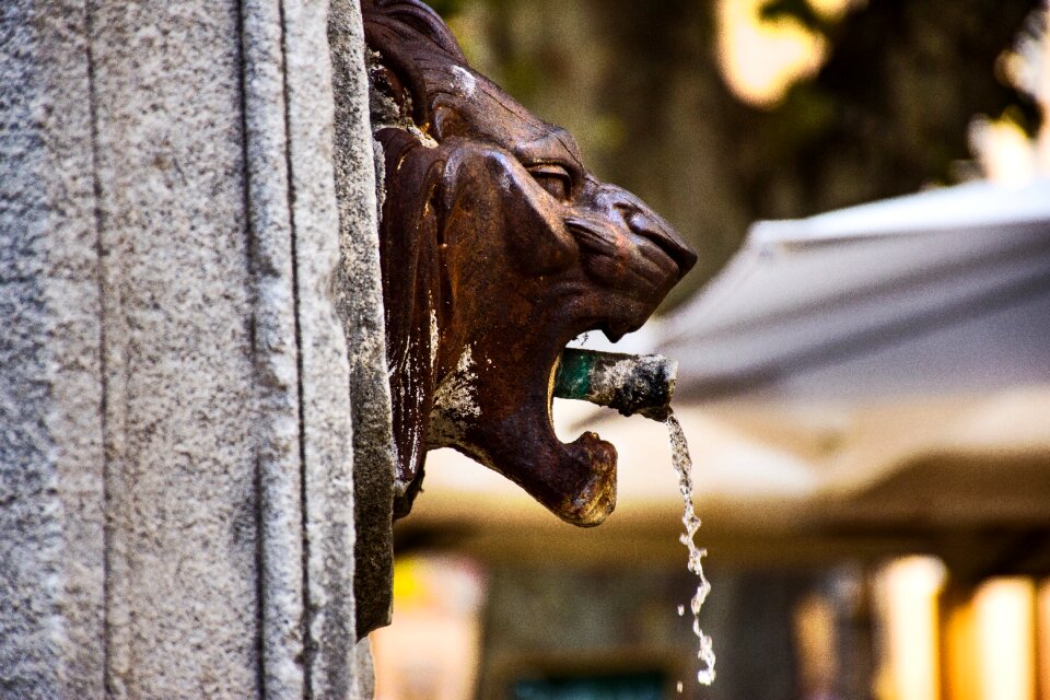 Lion head water spout explore photo