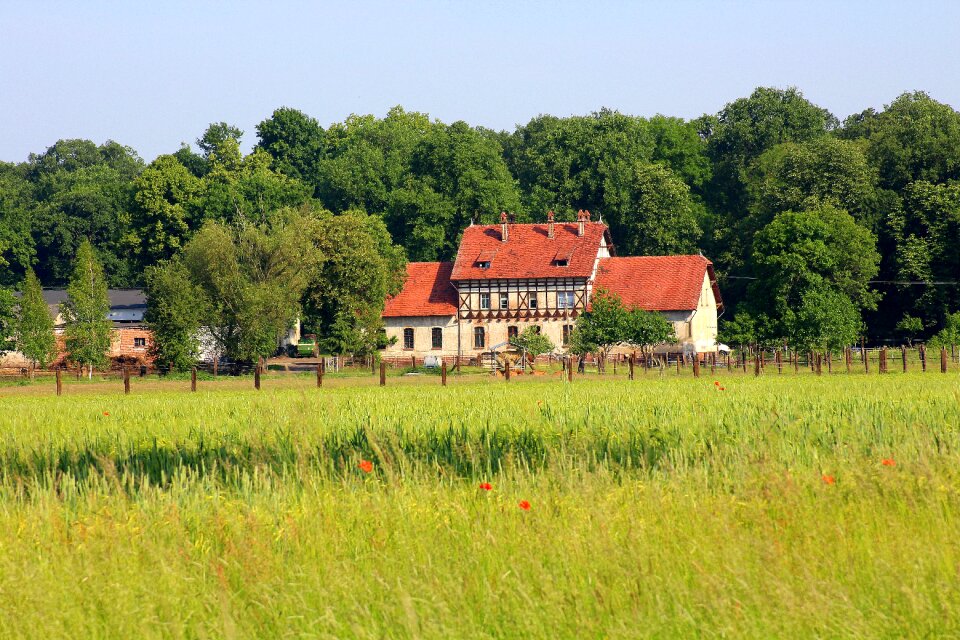 Spring buildings fields photo