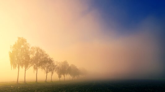 Fog landscape nature photo
