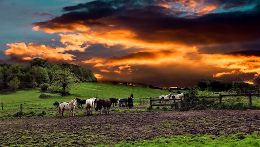 Sky agriculture farm