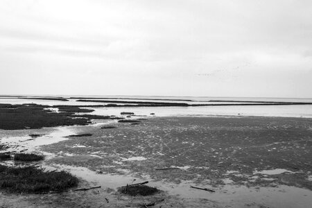 Sea landscape nature