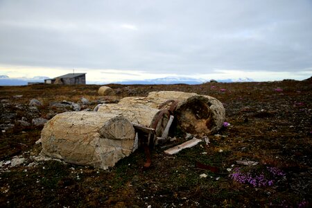 Historic frozen barrel