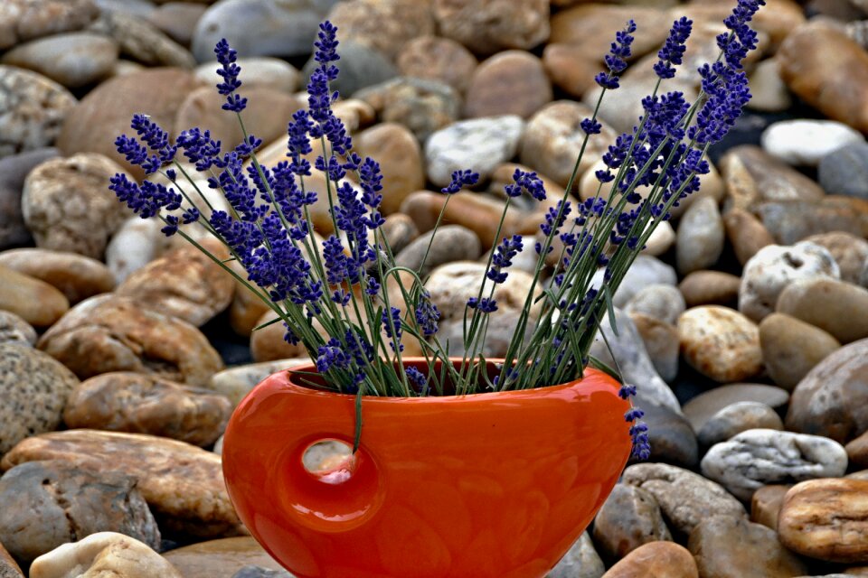 Lavender purple decor
