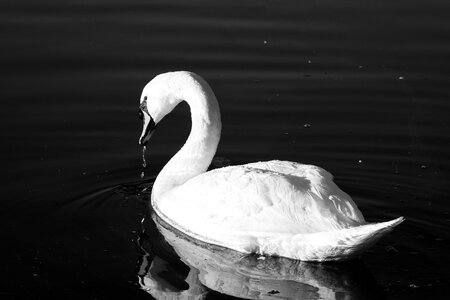 Landscape nature lake