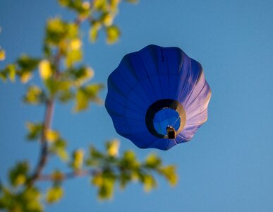 Flora color hot-air balloon
