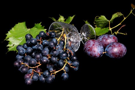 Food healthy vitamins