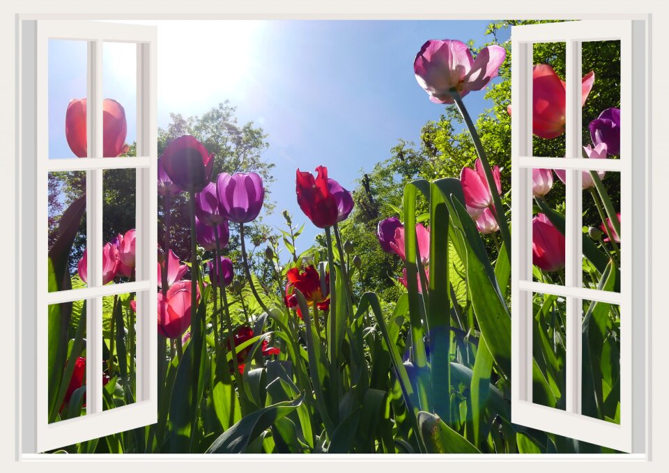 Nature garden floral