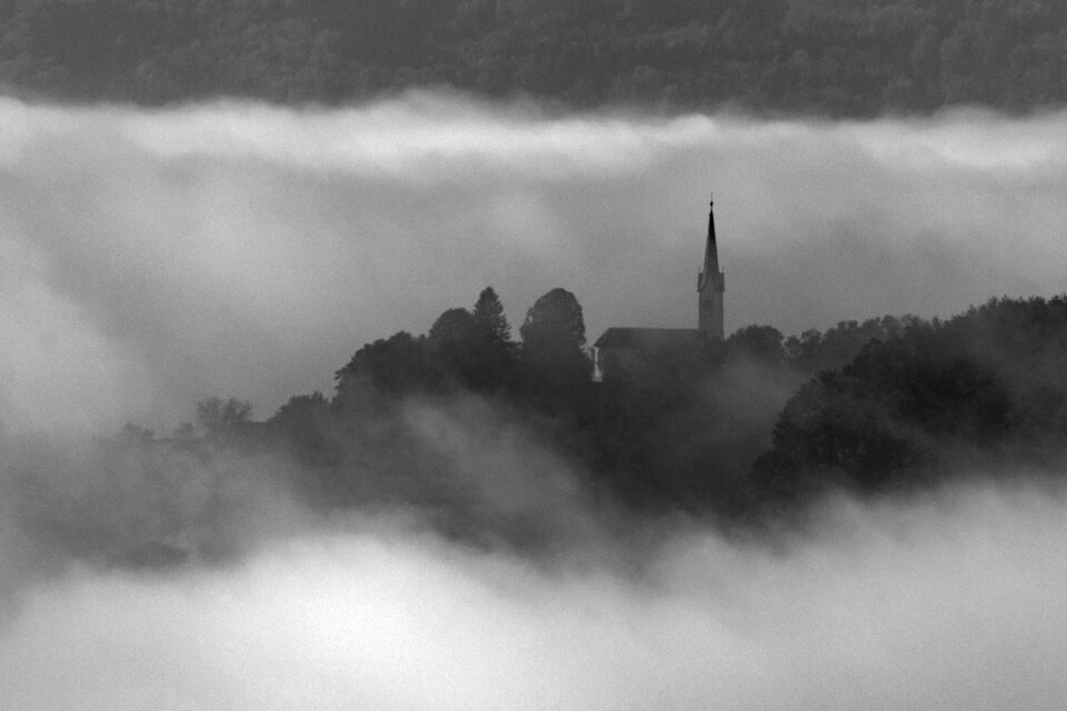 Landscape nature fog
