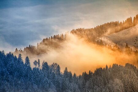 Cold fog mountains