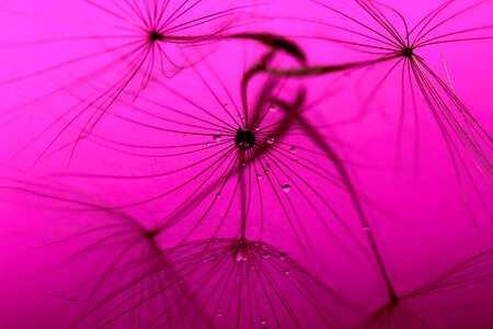 Close up macro structure