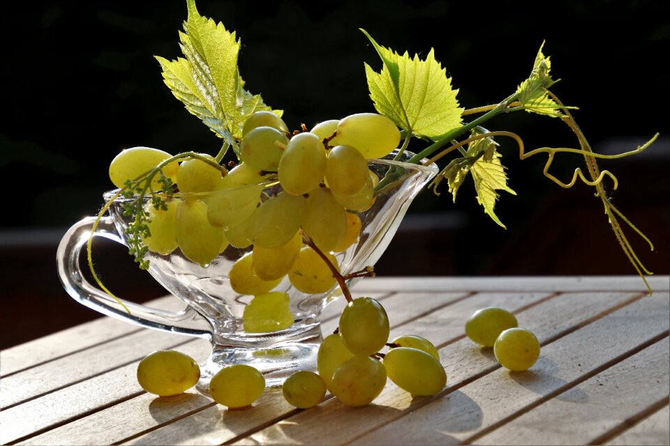 Tasty healthy food foliage