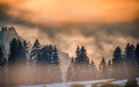 Cold fog mountains photo