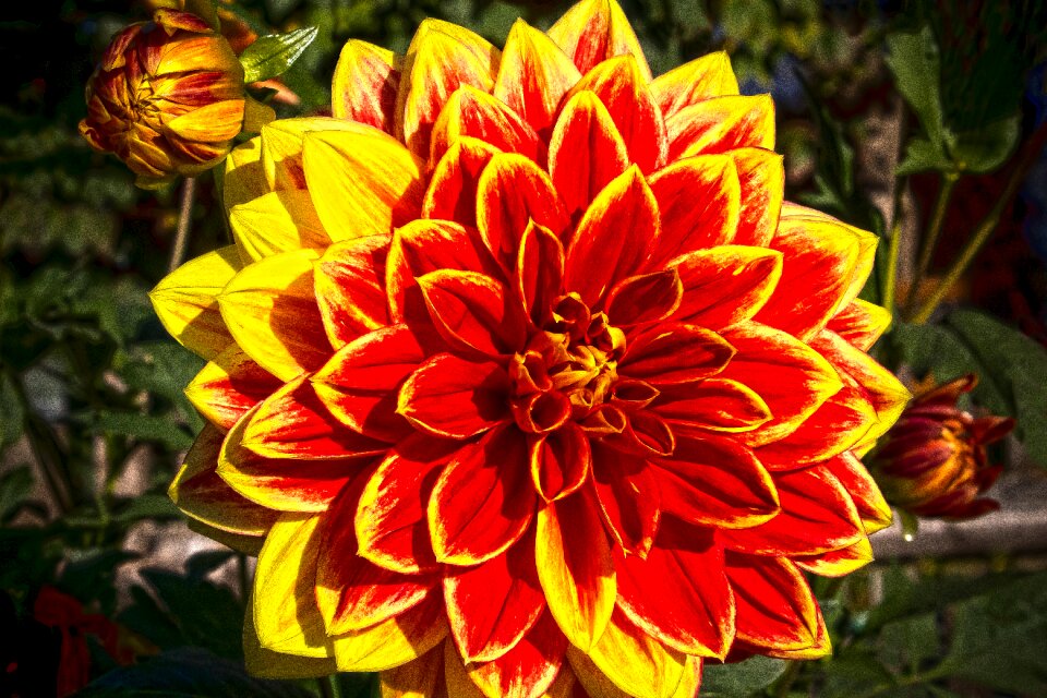 Composites orange yellow