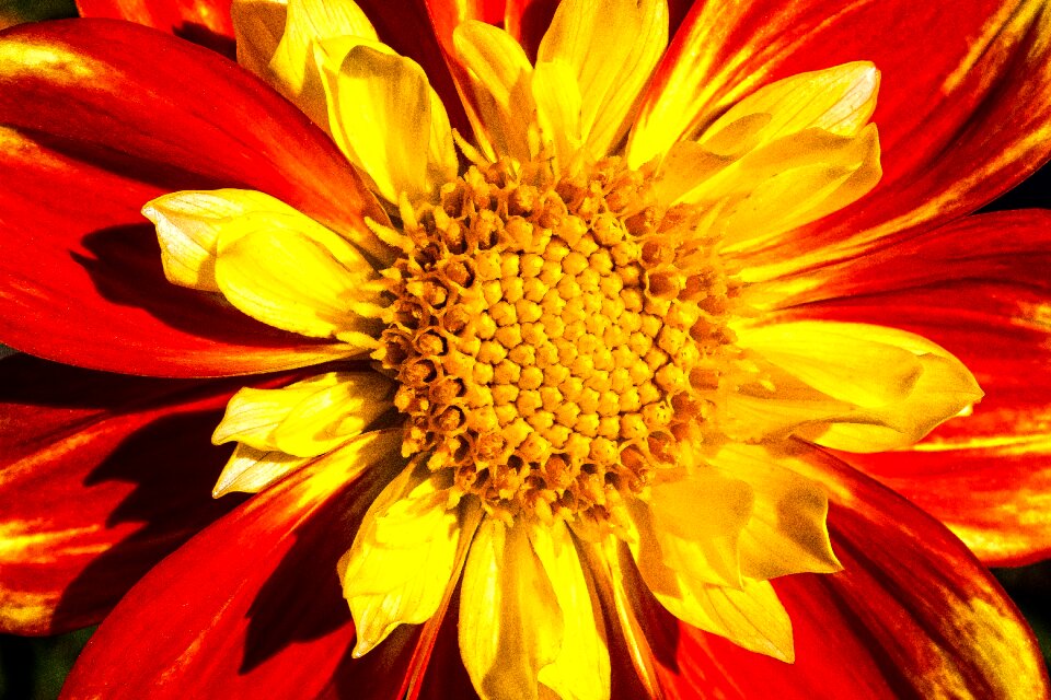 Composites orange yellow