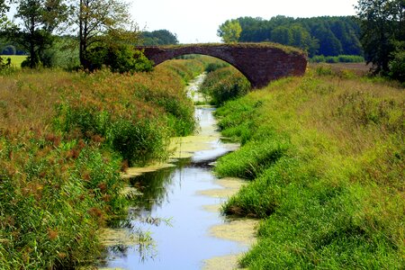 Bridge view stream