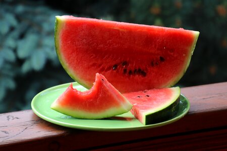 Dessert healthy food the richness of