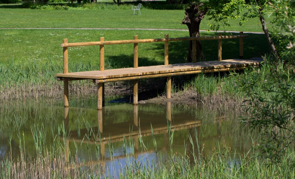 Boardwalk grass wood