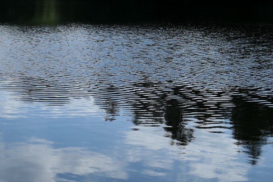 Water nature summer