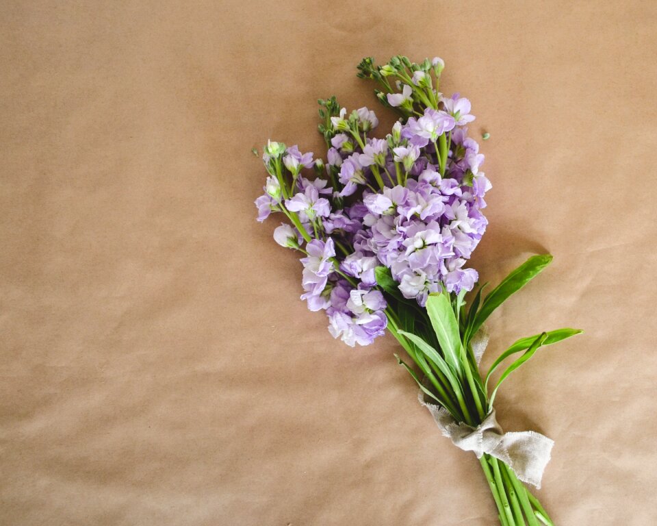 Composition mockup floral