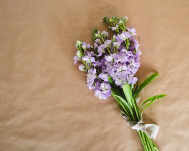 Composition mockup floral