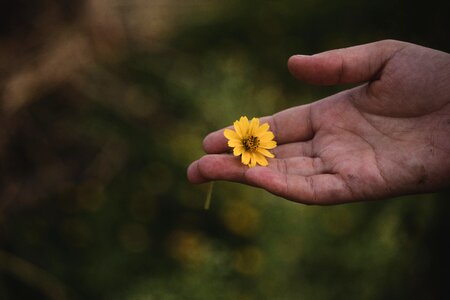 Lifestyle minimal floral