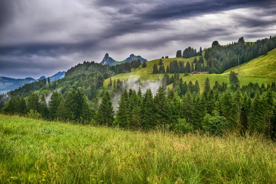 Fog dramatic switzerland