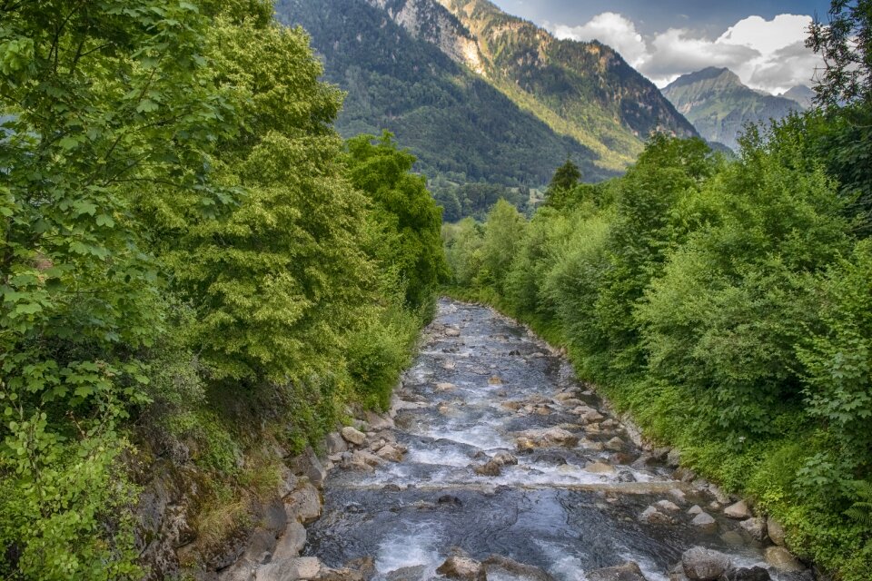 Mountains trees switzerland