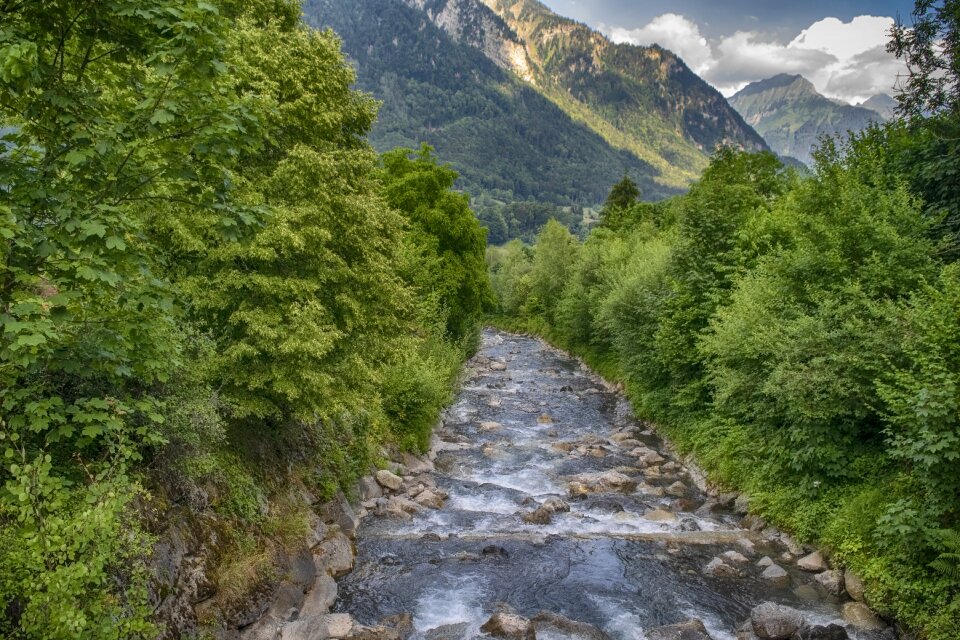 Mountains trees switzerland photo