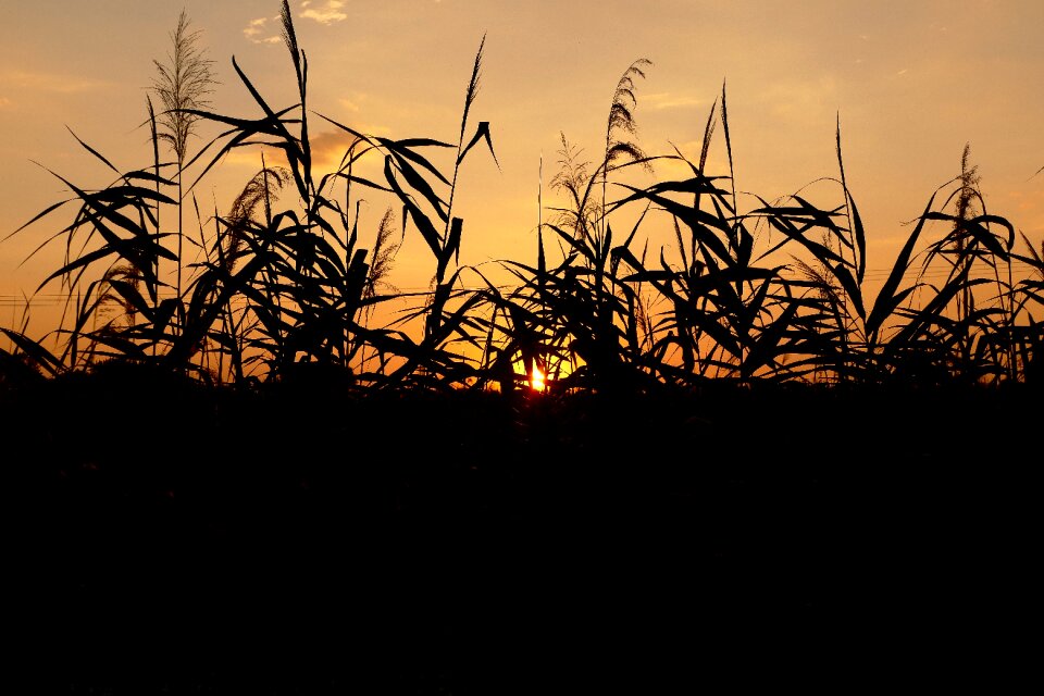 The sky nature horizon