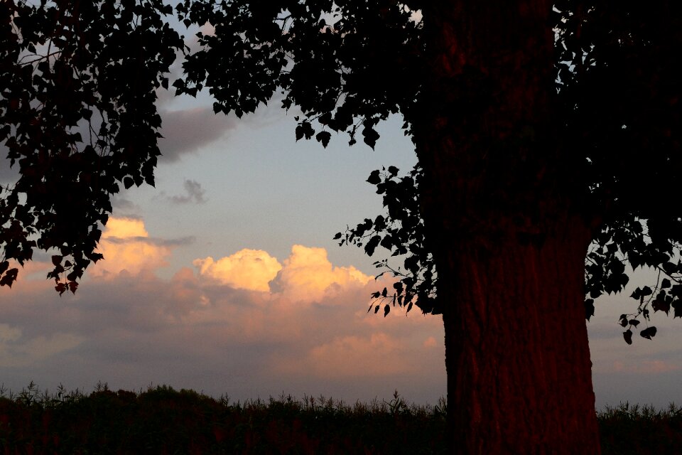 Nature clouds fields
